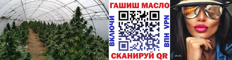 kraken   Курск  Дистиллят ТГК жижа 