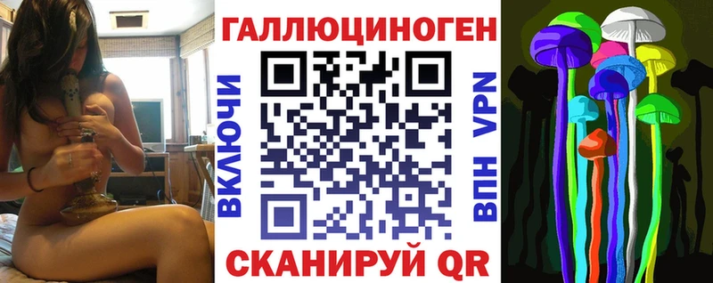 Галлюциногенные грибы Psilocybe  Курск 