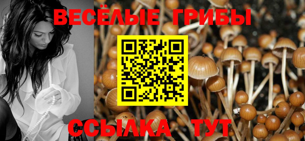 Курск  Галлюциногенные грибы Psilocybe  Вход с VPN  цена   Галлюциногенные грибы Psilocybine cubensis 