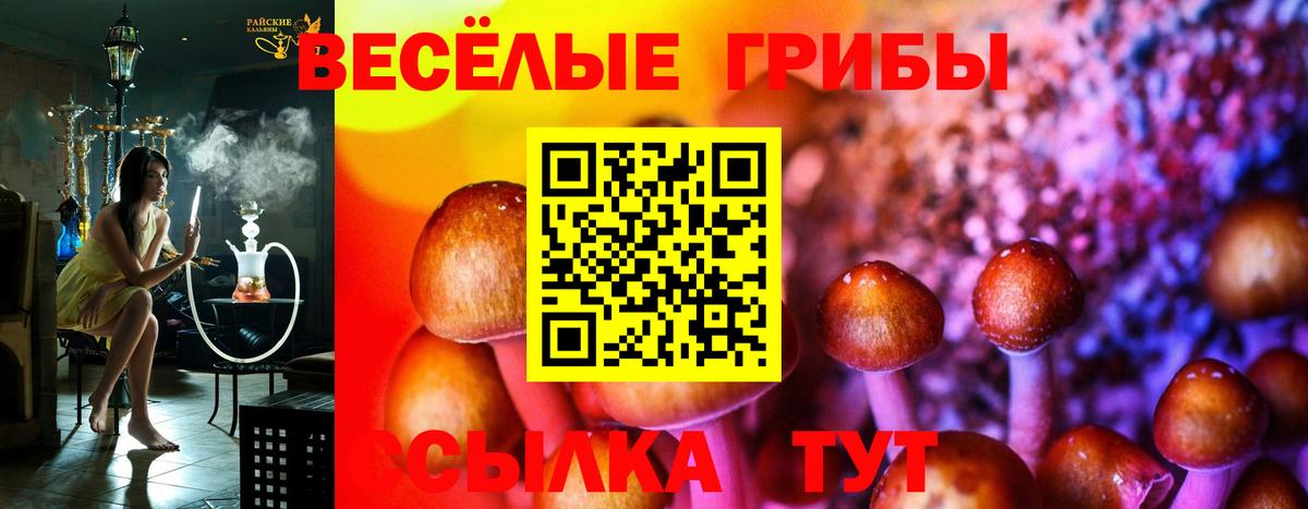 Псилоцибиновые грибы ЛСД Курск