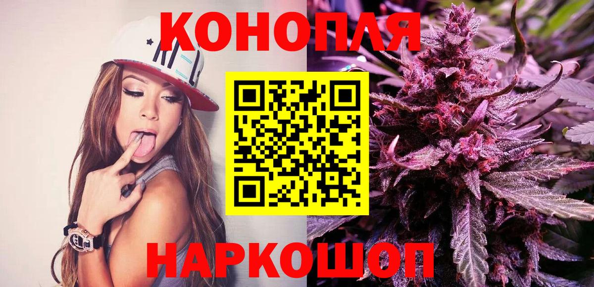 Курск  МАРИХУАНА семена  Каннабис SATIVA & INDICA  Канабис OG Kush  Вход с VPN 